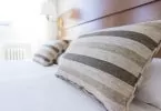 Comment traiter les punaises de lit