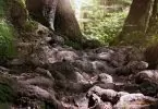 Comment lutter contre les racines envahissantes