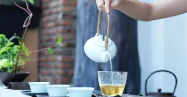 10 astuces pour se débarrasser des limaces