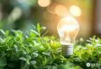 Comment choisir la meilleure option d&rsquo;éclairage écoénergétique pour votre maison ?