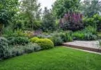 Comment aménager un jardin sans pelouse ?