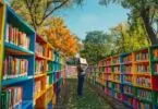 Où trouver les meilleurs sites de boîtes à livres ?