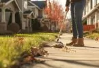 Qui doit entretenir les trottoirs devant chez soi ?
