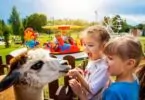 Diverty Parc